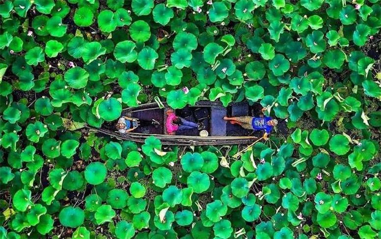 نمی‌گذارم سودجوها به جان تالاب بیافتند / عزم ما احیای تالاب بین‌المللی انزلی است