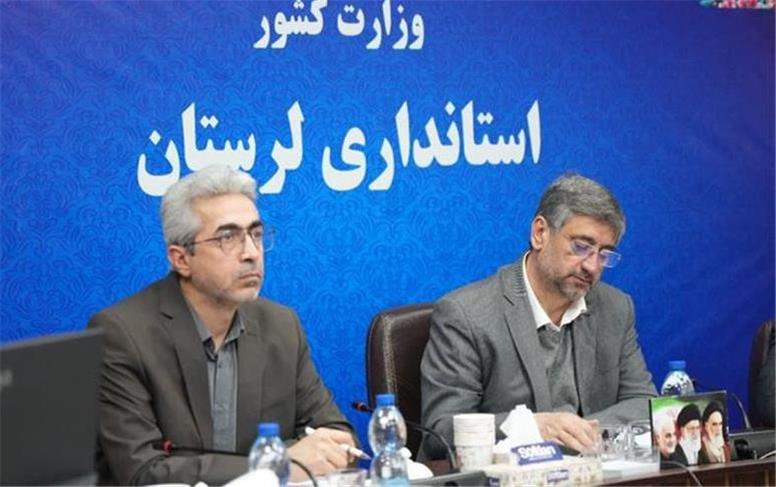 حذف ارز ترجیحی یارانه‌ها را به انتهای زنجیره تولید می‌رساند