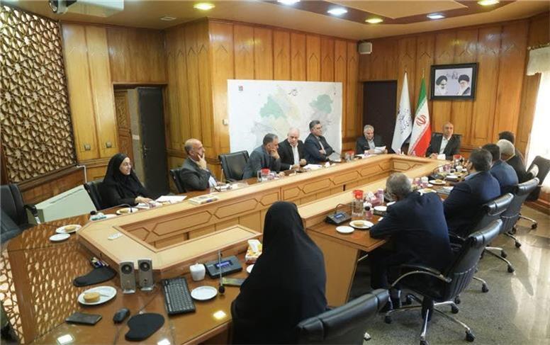 برنامه‌ریزی برای آغاز فاز سوم پتروشیمی با تمرکز بر تولید کریستال ملامین از سال آینده