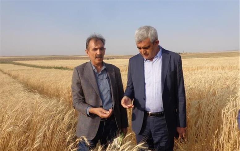 یافته‌های تحقیقاتی در ارتقای بهره‌وری نقش مهمی دارند