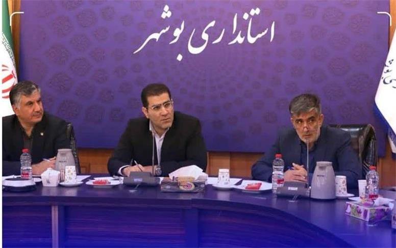 بیش از ۶ هزار نفر از بوشهر به کربلا می‌‍روند