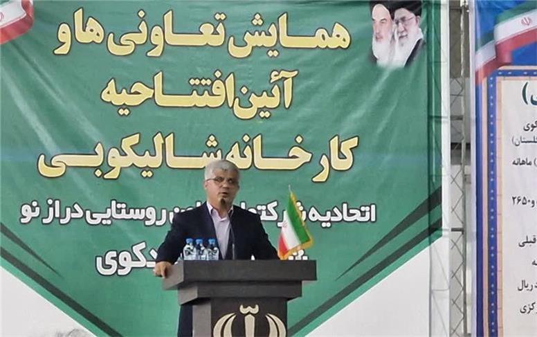 تعاونی‌های تولید؛ راهی برای تحول معیشت مردم گلستان