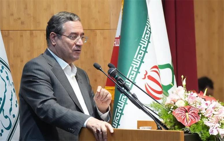 اشعار مولانا باید با گفتمان علمی و فرهنگی عمیق‌تر معرفی شوند