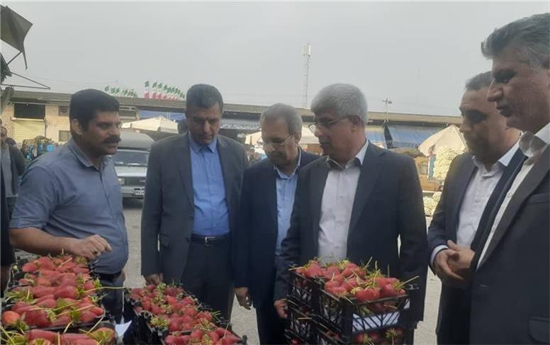 با وجود شرایط جنگی خبری از کمبود در بازار میوه و تره بار نیست