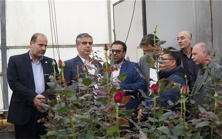 در سی‌وششمین روز همت اقتصادی استان مرکزی چه گذشت؟