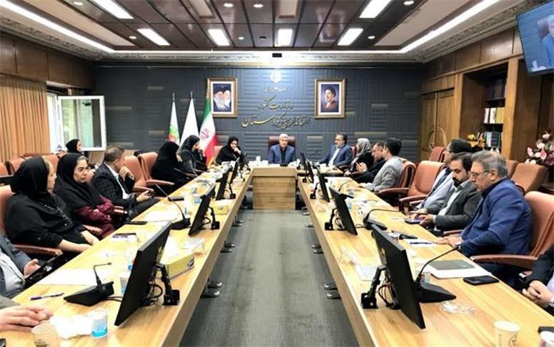 هشدار معاون استاندار کردستان درباره سقط‌های غیرقانونی