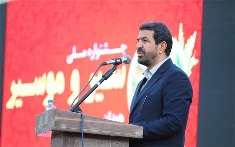 سیر همدان با ۸۶ درصد آلیسین رکورد جهانی دارد