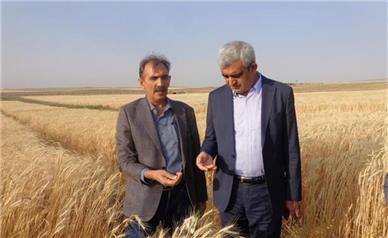 یافته‌های تحقیقاتی در ارتقای بهره‌وری نقش مهمی دارند