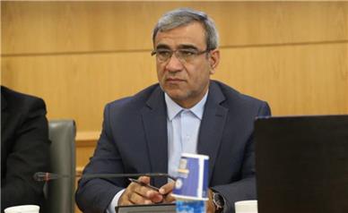 نمی‌شود همه ارکان دولت درباره تخصیص ارز یک حرف بزنند و یک بخش دولت مسیر خودش را برود