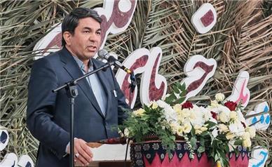 سرمایه‌گذاری در زنجیره تولید خرما از کاشت تا بسته‌بندی ضروری است