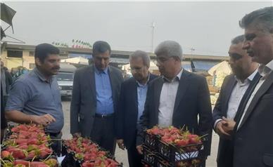 با وجود شرایط جنگی خبری از کمبود در بازار میوه و تره بار نیست