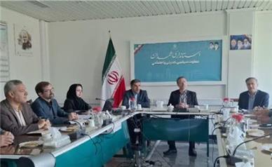 امرایی: سمن ها بازوی مشورتی و تخصصی مدیران و دستگاه‌های اجرایی هستند