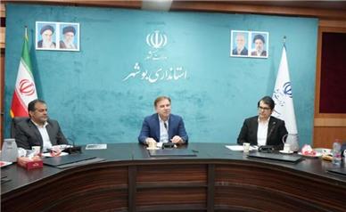 ۴۰ درصد معادن استان بوشهر غیرفعال است